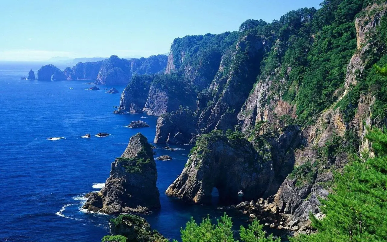 全自动节能高标准